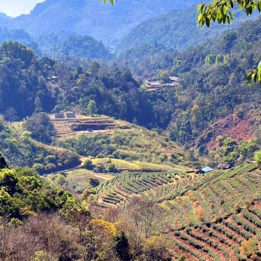 Doi Ang Khang, Chiangmai