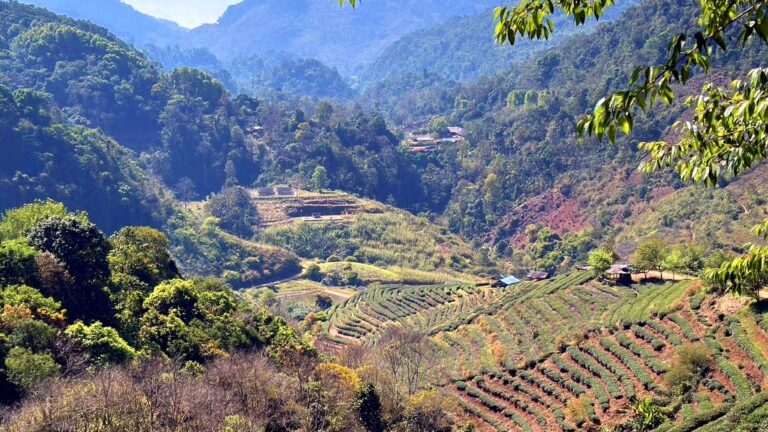 Doi Ang Khang, Chiangmai