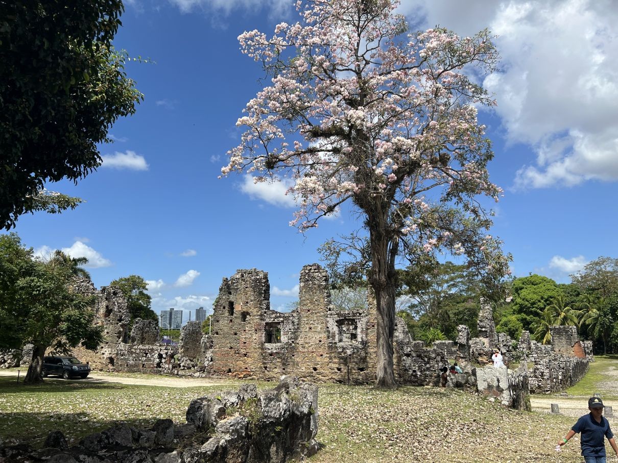 RoamingXplorer at Panama Viejo