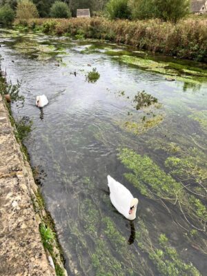 Exploring Bibury: The Historic Gem of the Cotswolds RoamingXplorer